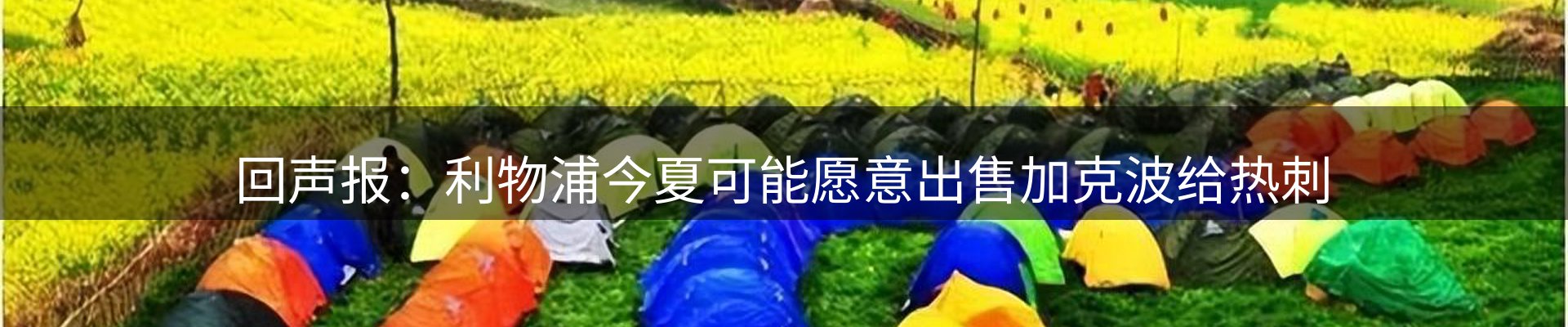 行业资讯