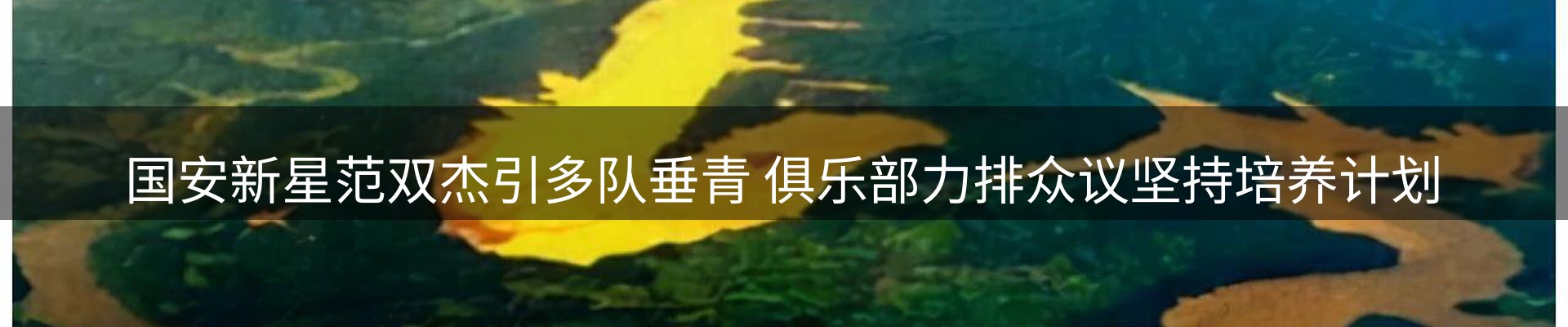 行业资讯